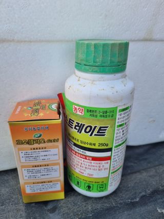 논산푸른팜님의 콩 · 영농일지 작성글 사진