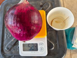 청운농원육묘장님의 양파 · 영농일지 작성글 사진