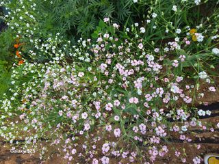 류승원님의 기타작물 · 영농일지 작성글 사진