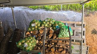 대박농장신초시님의 기타작물 · 영농일지 작성글 사진