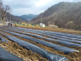 장거장님의 들깨 · 영농일지 작성글 사진