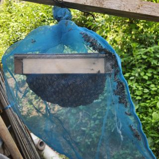 0103754820님의 기타작물 · 영농일지 작성글 사진