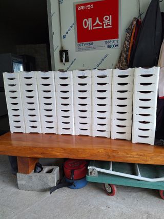 박수천님의 딸기 · 영농일지 작성글 사진