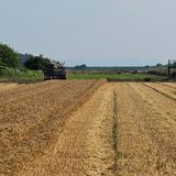 팜모닝 기타작물·영농일지 게시글 이미지