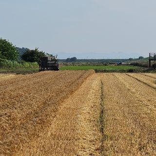 전준식님의 기타작물 · 영농일지 작성글 사진