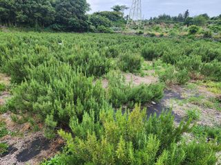 한재범님의 기타작물 · 영농일지 작성글 사진