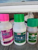 팜모닝 기타작물·영농일지 게시글 이미지