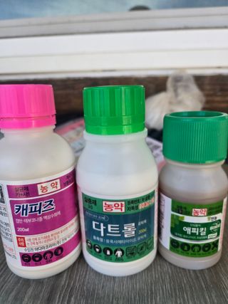 김진수님의 기타작물 · 영농일지 작성글 사진