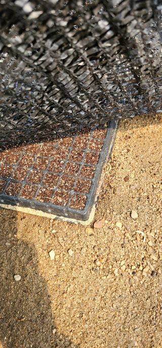 레티님의 들깨 · 영농일지 작성글 사진