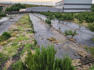 한재범님의 기타작물 · 영농일지 작성글 사진