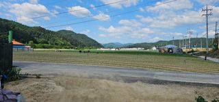 레티님의 기타작물 · 영농일지 작성글 사진