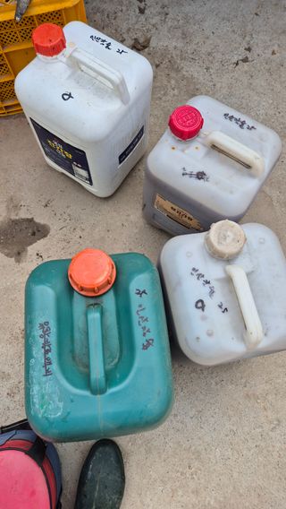 김기자(흰구름농원)님의 블루베리 · 영농일지 작성글 사진