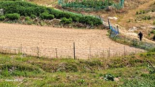 조연만님의 기타작물 · 영농일지 작성글 사진