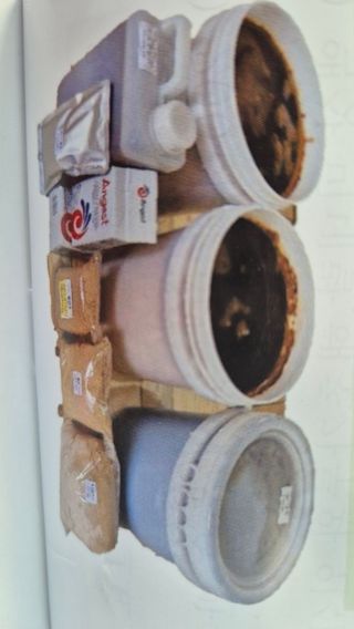 김기자(흰구름농원)님의 블루베리 · 영농일지 작성글 사진