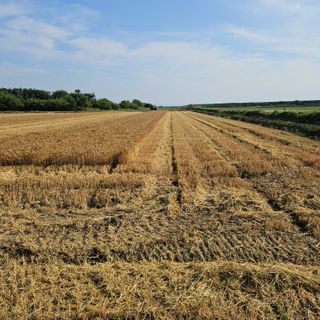 전준식님의 기타작물 · 영농일지 작성글 사진