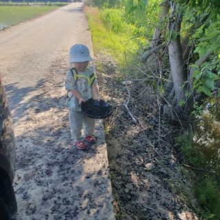 김광신님의 벼 · 영농일지 작성글 사진