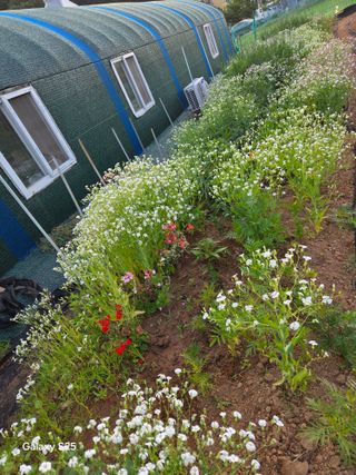 류승원님의 기타작물 · 영농일지 작성글 사진