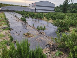 한재범님의 기타작물 · 영농일지 작성글 사진