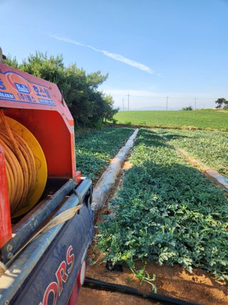 김저팔계님의 기타작물 · 영농일지 작성글 사진