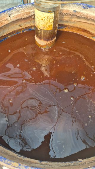 김기자(흰구름농원)님의 블루베리 · 영농일지 작성글 사진