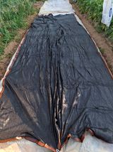 팜모닝 들깨·영농일지 게시글 이미지