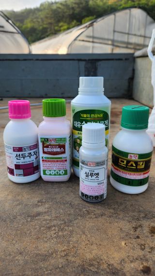 두아들아빠님의 기타작물 · 영농일지 작성글 사진