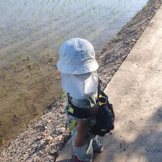 김광신님의 벼 · 영농일지 작성글 사진