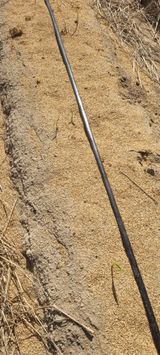 팜모닝 기타작물·영농일지 게시글 이미지