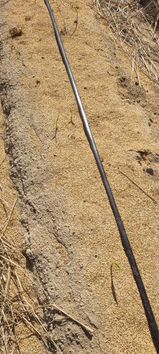 박사원농장님의 기타작물 · 영농일지 작성글 사진