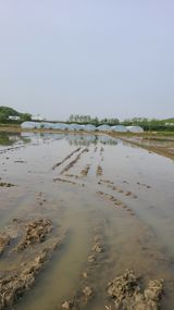 팜모닝 벼·영농일지 게시글 이미지