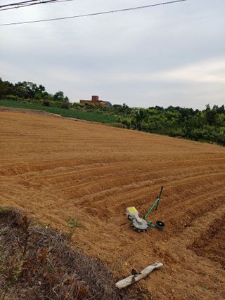이철우님의 콩 · 영농일지 작성글 사진