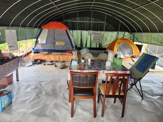 꿀복이농장님의 복숭아 · 영농일지 작성글 사진