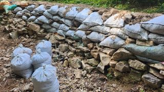 장흥 모경화 님의 기타작물 · 영농일지 작성글 사진