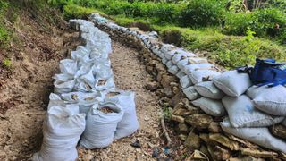 장흥 모경화 님의 기타작물 · 영농일지 작성글 사진