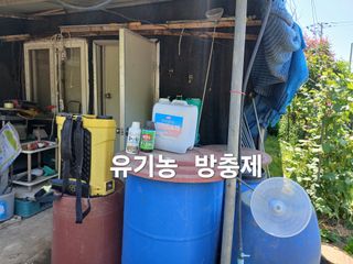 안승호님의 고추 · 영농일지 작성글 사진