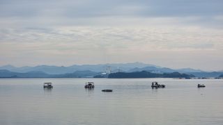 촌사리님의 기타작물 · 영농일지 작성글 사진