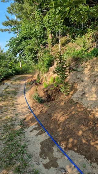 권혁렬님의 상추 · 영농일지 작성글 사진