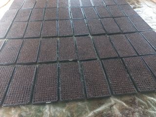 농민님의 기타작물 · 영농일지 작성글 사진