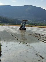 팜모닝 벼·영농일지 게시글 이미지