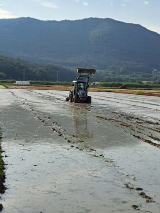 택이님의 벼 · 영농일지 작성글 사진