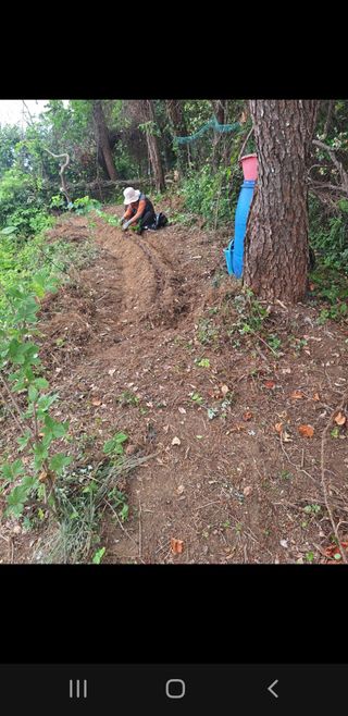 김윤숙님의 기타작물 · 영농일지 작성글 사진