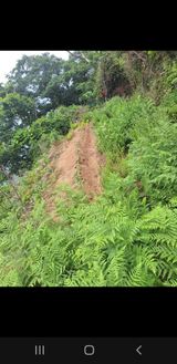 팜모닝 기타작물·영농일지 게시글 이미지