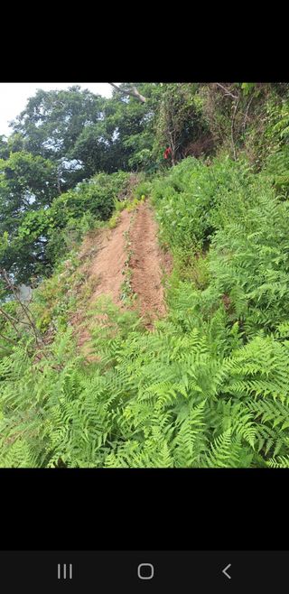 김윤숙님의 기타작물 · 영농일지 작성글 사진