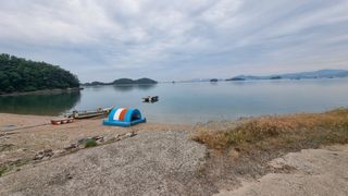 촌사리님의 기타작물 · 영농일지 작성글 사진