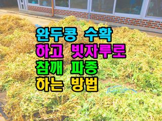 꿈꾸는텃밭님의 기타작물 · 영농일지 작성글 사진