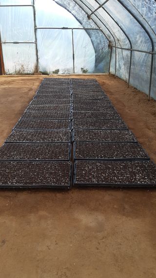 하루의행복님의 기타작물 · 영농일지 작성글 사진