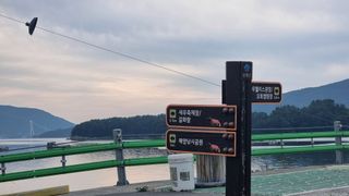 촌사리님의 기타작물 · 영농일지 작성글 사진