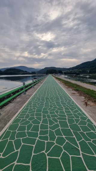 촌사리님의 기타작물 · 영농일지 작성글 사진