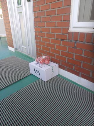 전원수님의 토마토 · 영농일지 작성글 사진