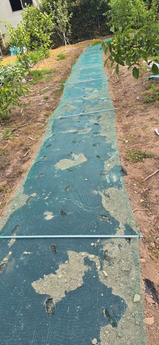 돌복숭아님의 기타작물 · 영농일지 작성글 사진